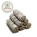 White Sage, 4in Bundle